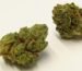What Is Kush: Definition, Origin, Effects, Best Strains