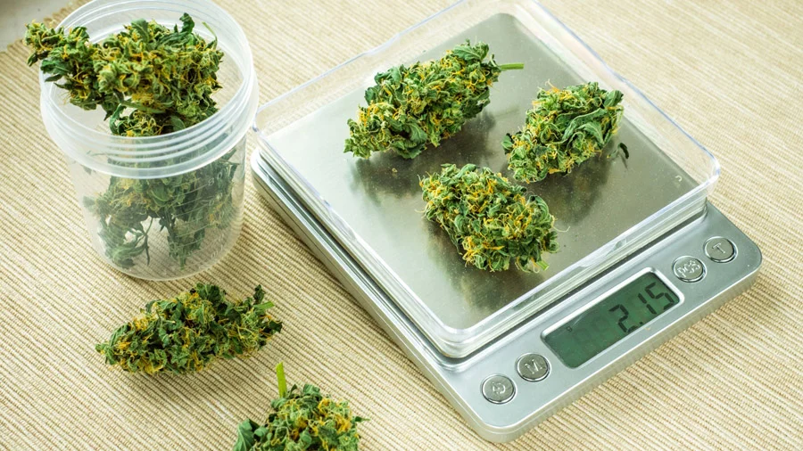 How to Weigh Weed: Full Guide into Cannabis Measurements - ukgreen..