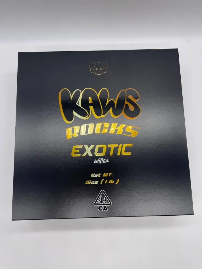 KAWS ROCKS EXOTIC