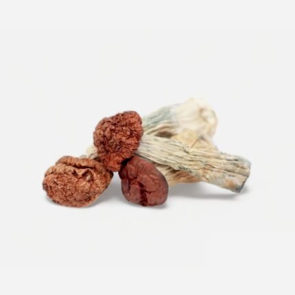 Penis Envy Dino Eggs Magic Mushrooms